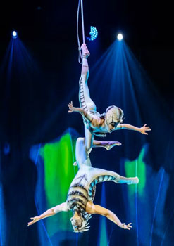 Cirque Du Soleil OVO